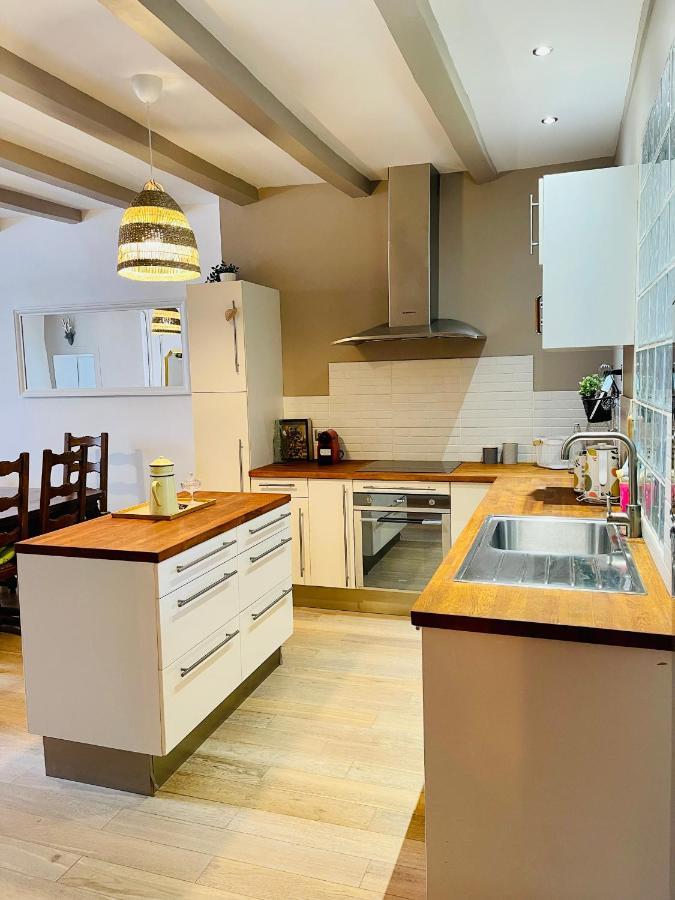 Maison Gabriel - Logement Charmant Au Coeur De La Cite Medievale - T3 75M2 Albertville Eksteriør billede