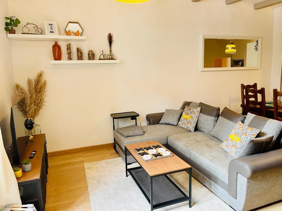 Maison Gabriel - Logement Charmant Au Coeur De La Cite Medievale - T3 75M2 Albertville Eksteriør billede