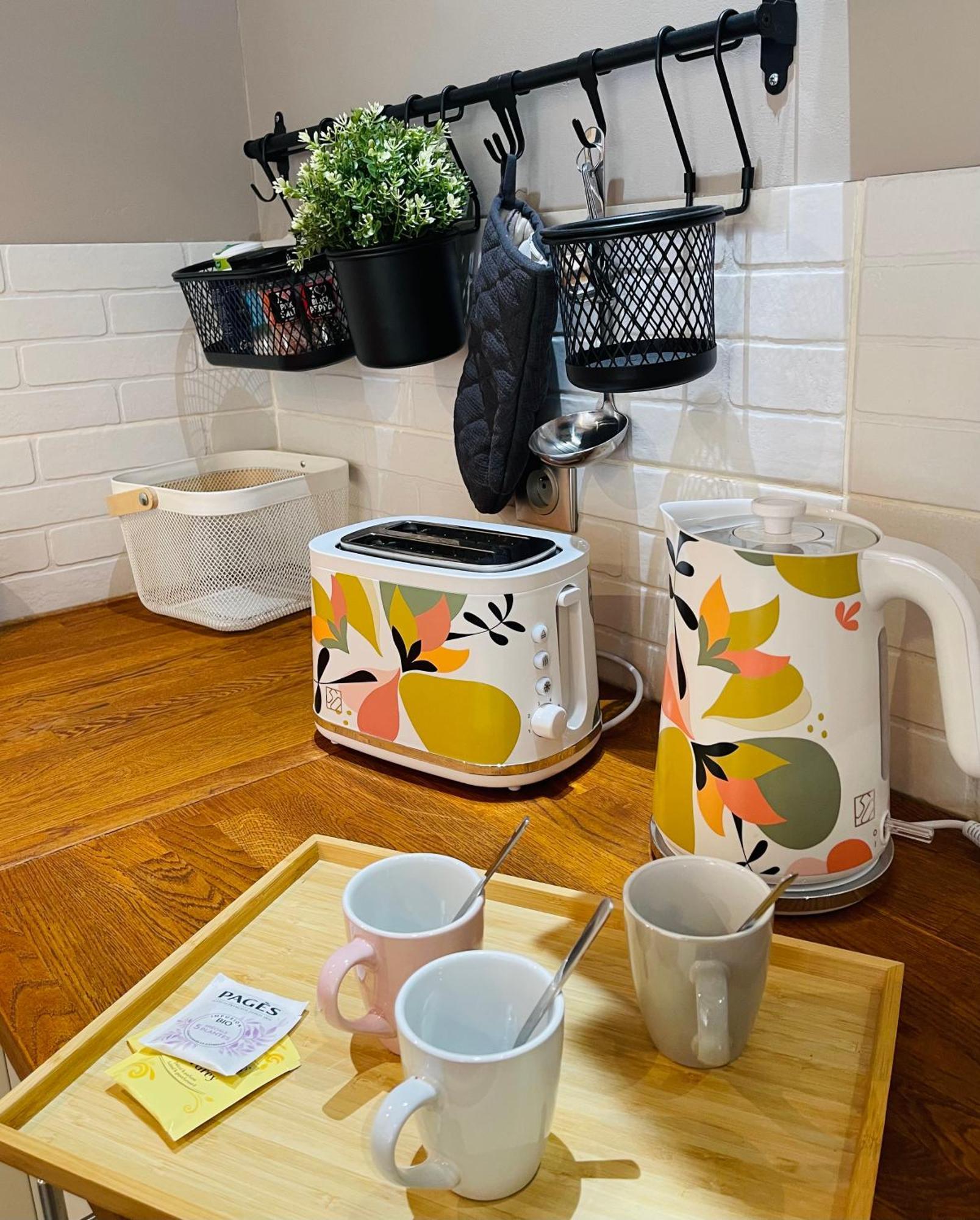 Maison Gabriel - Logement Charmant Au Coeur De La Cite Medievale - T3 75M2 Albertville Eksteriør billede